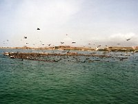 Foto 009